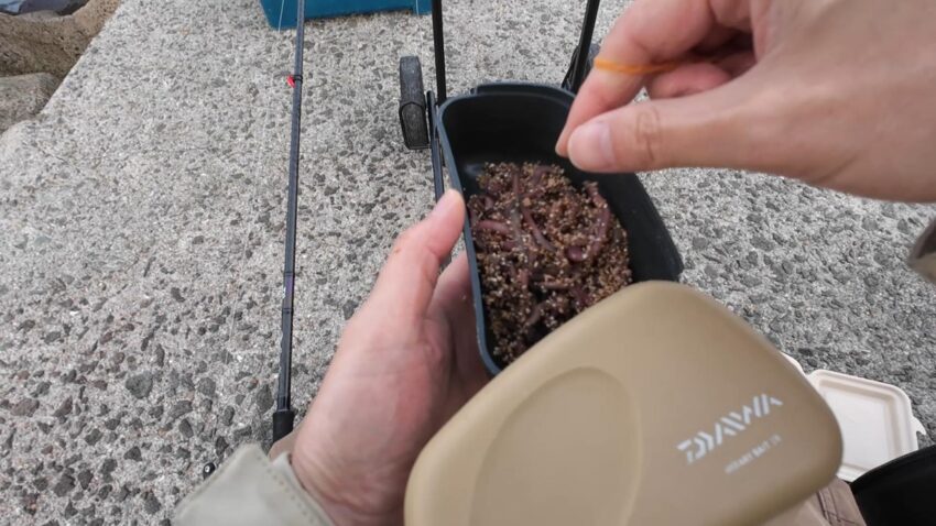 ハゼ釣りのエサ【石ゴカイ】