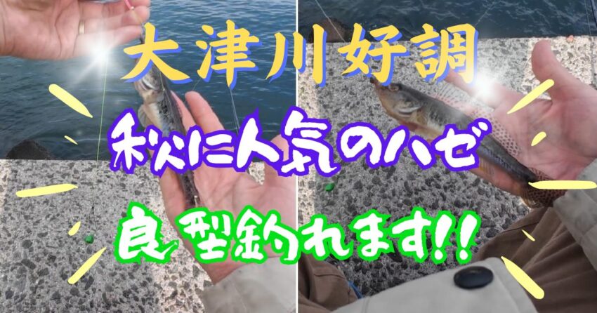 大津川河口でハゼ釣り