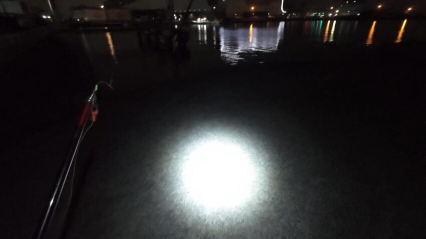 今夜の釣り場『泉佐野食品コンビナート』