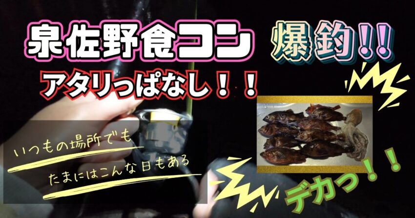 泉佐野食品コンビナート（食コン）でロックフィッシュ爆釣