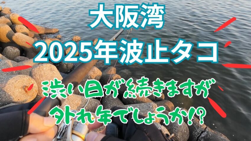 2025年大阪湾の波止タコ釣り