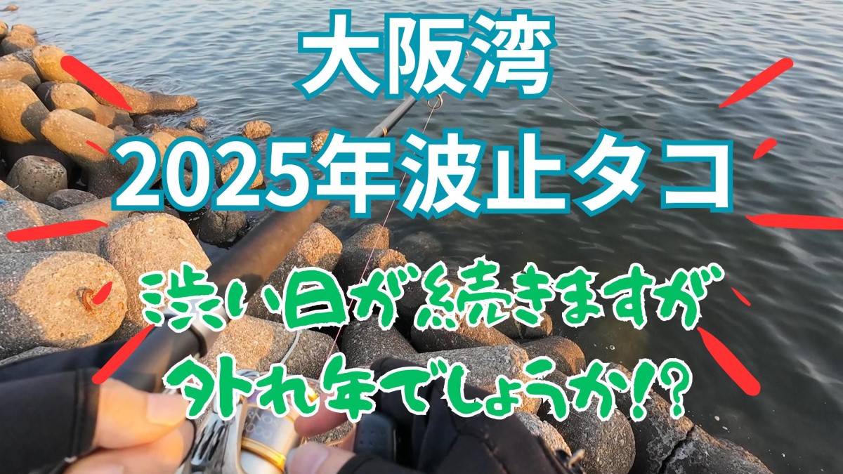 2025年大阪湾の波止タコ釣り