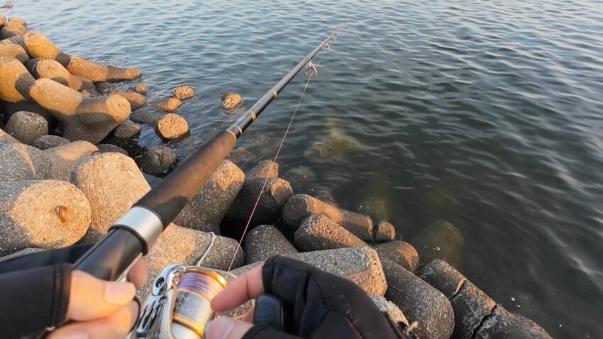忠岡コンビナートテトラ帯でタコ釣り