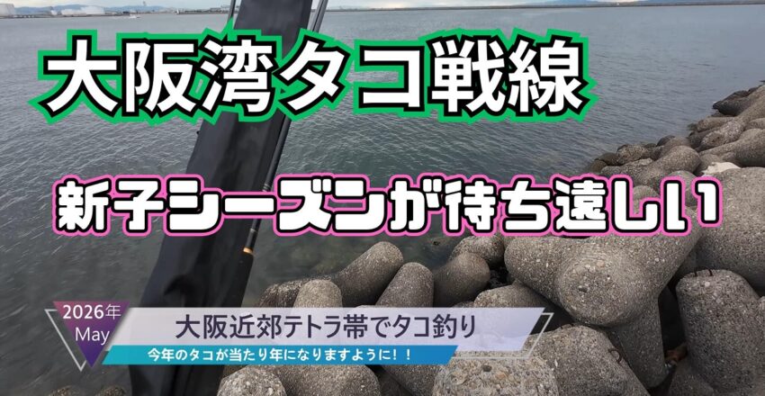 2026年大阪近郊でタコ釣り