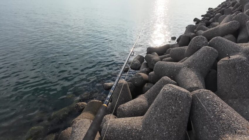まだ暑さ全開のなかタコ釣り開始