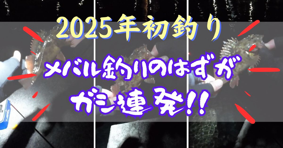 2025年は田尻漁港で初釣り（メバルのエビ撒き釣り）