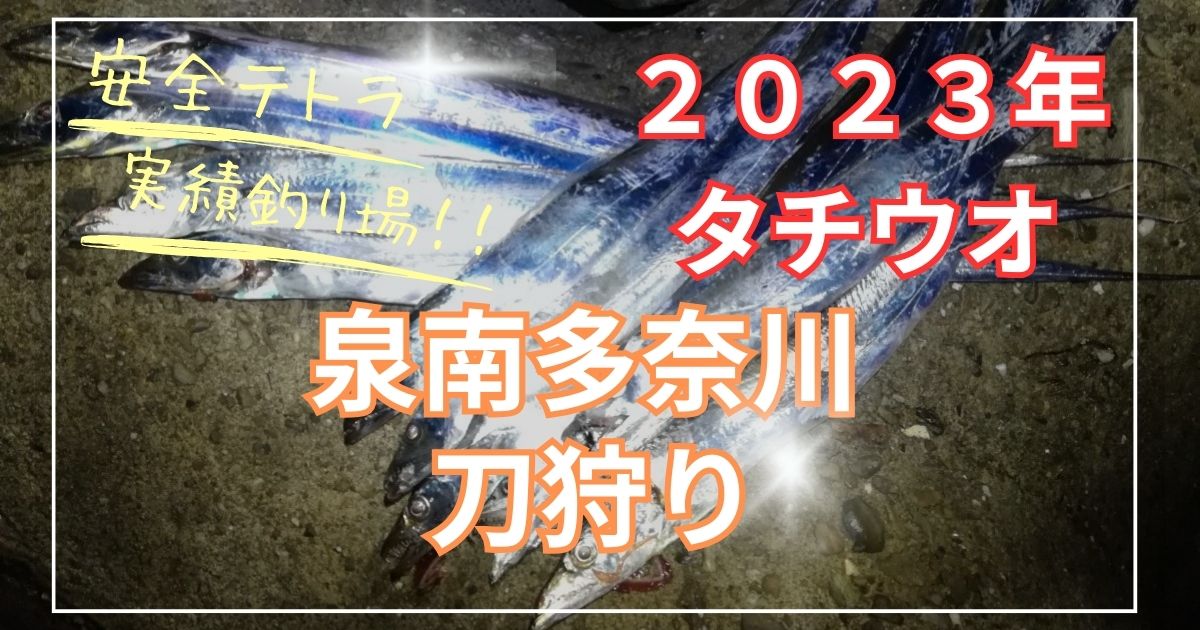 泉南の多奈川新日本工機裏釣り場での太刀魚の電気ウキ釣り釣果