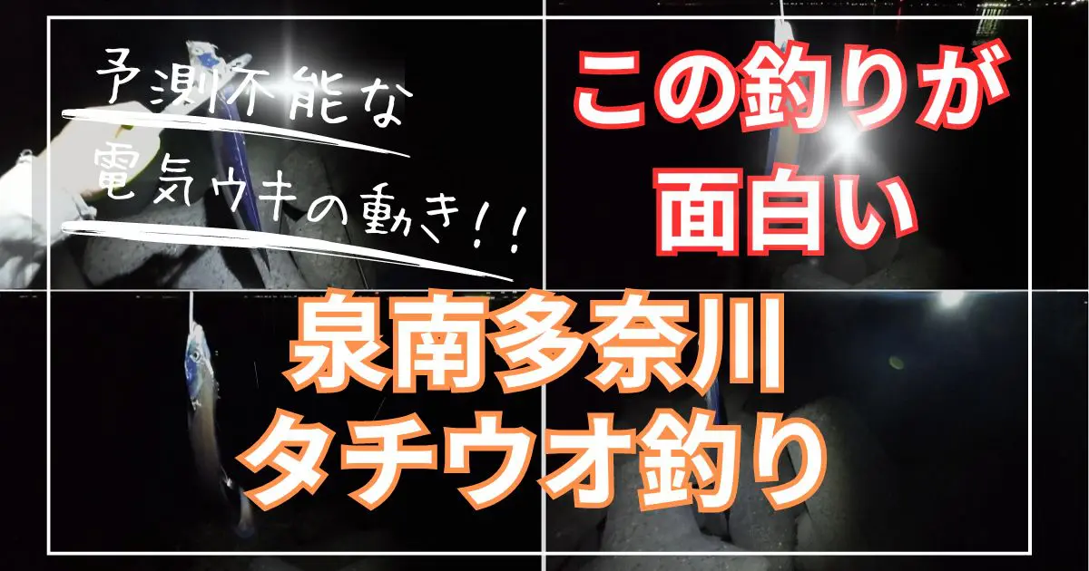 多奈川でタチウオの電気ウキ釣り釣果