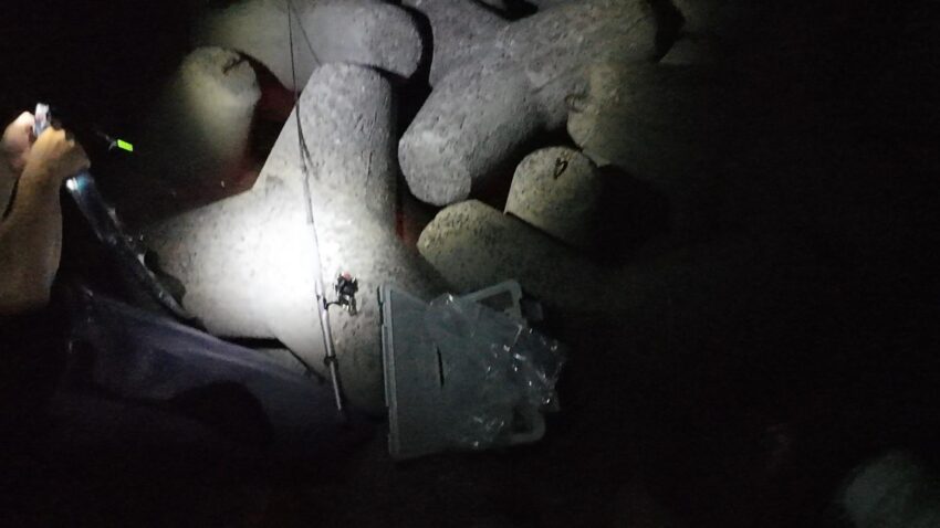 弟が1本目のタチウオを釣り上げる