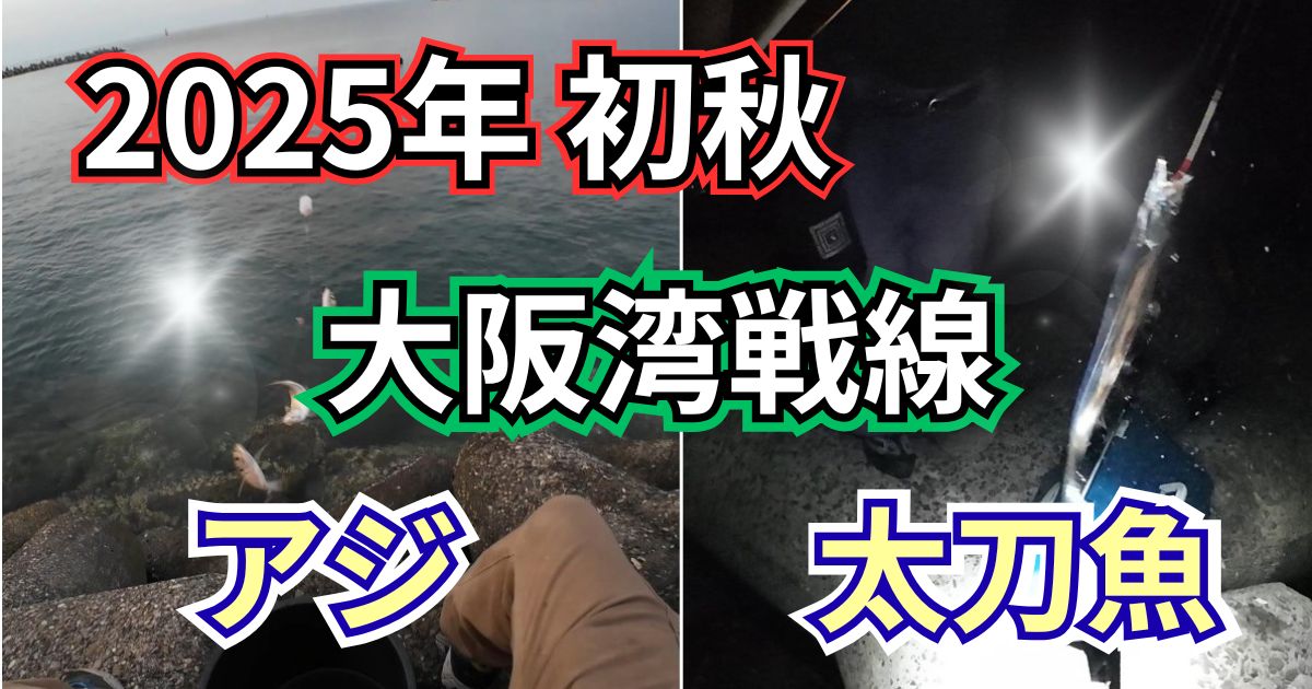2025年秋の大阪湾（泉南）のアジ・太刀魚釣果