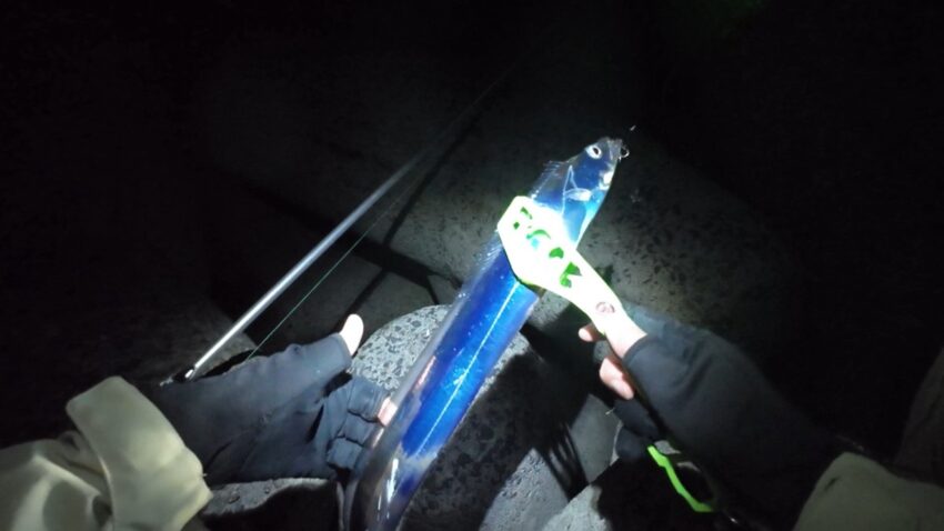2本目の太刀魚