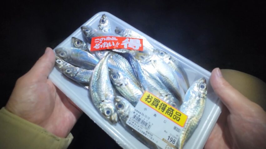 エサの豆アジ