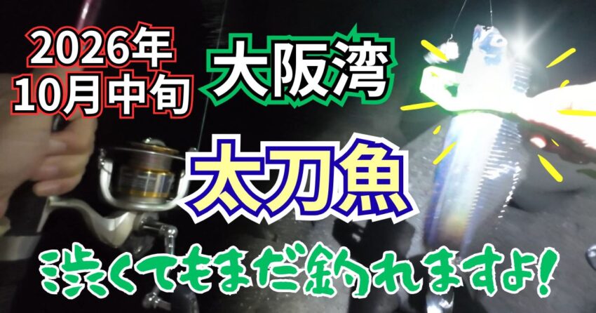 新日本工機裏釣り場で太刀魚釣果