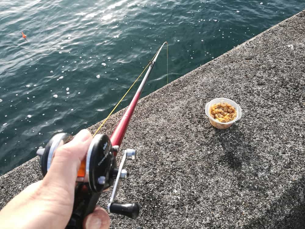 際釣りでカワハギ釣り開始