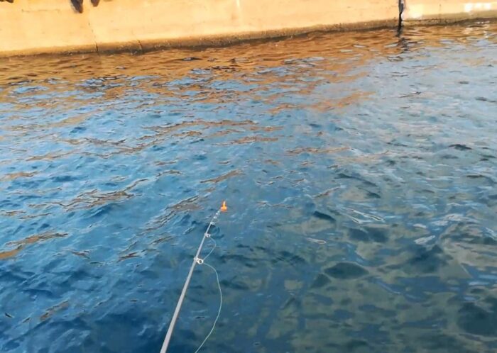 湾内向きでサビキ釣り
