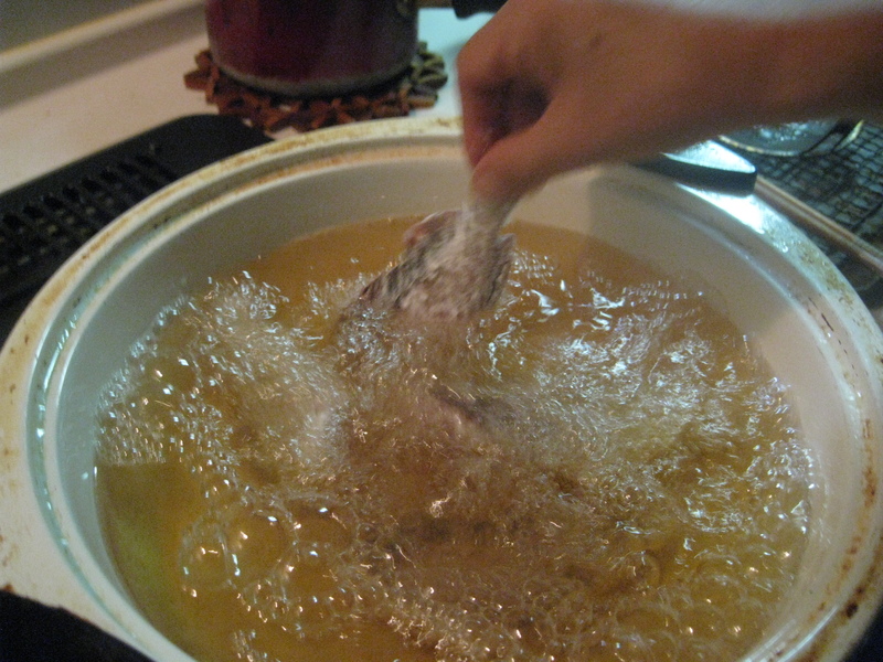 カサゴとソイを揚げる