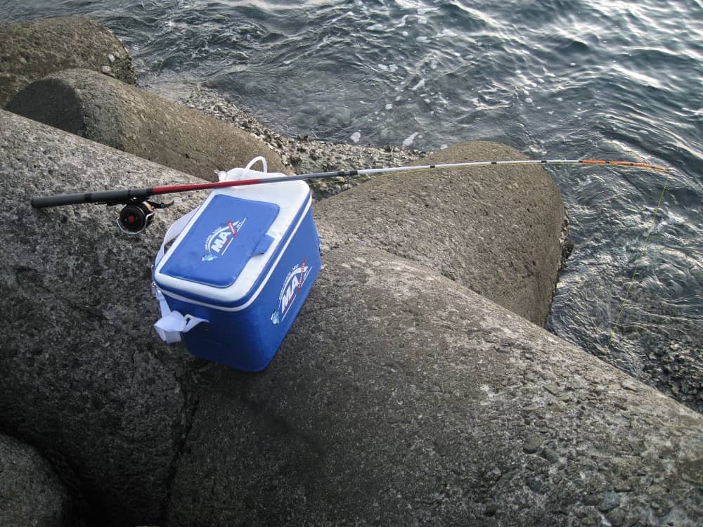 極めロッド】穴釣りには『極光テトラDX』がお勧め！！ | 釣りのネタ帳