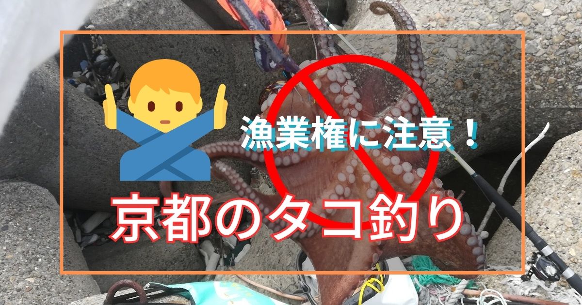 京都は漁業権の設定にてタコ釣り禁止
