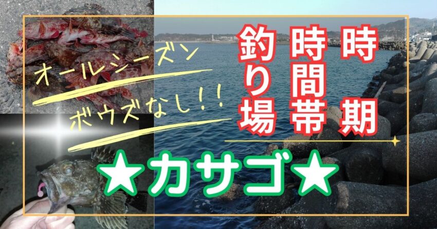 【カサゴ(ガシラ)】釣れる時期と時間帯、釣れる場所