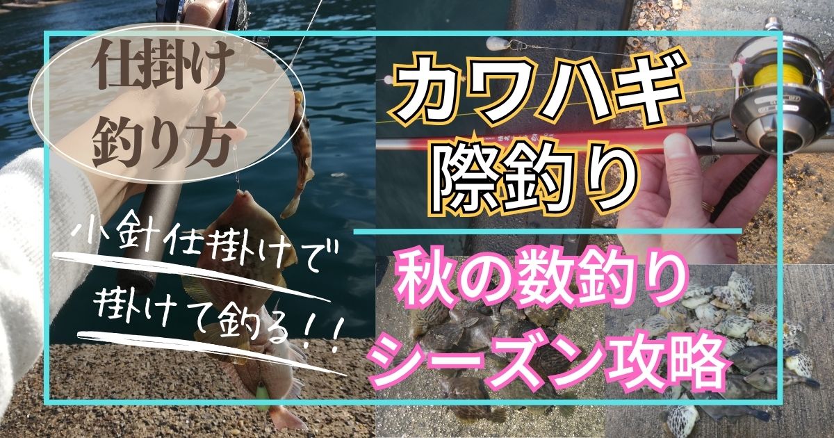 カワハギの際釣り仕掛けと釣り方