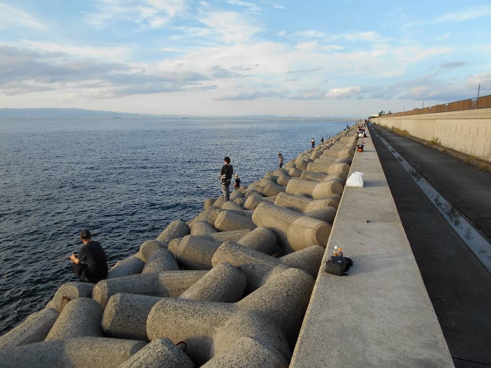 タチウオは大阪湾の夏以降の風物詩