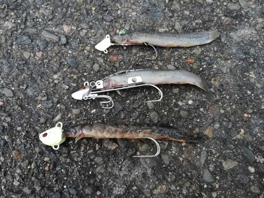 タチウオテンヤの種類