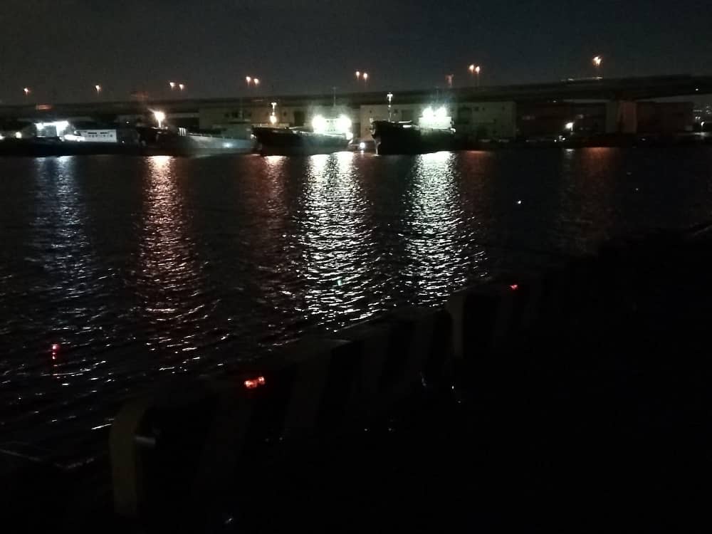 秋の夜長はタチウオを楽しもう