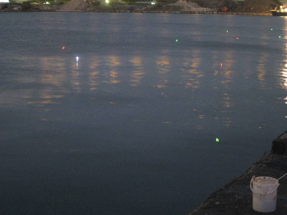 夕暮れ時に並ぶタチウオ釣り師の電気ウキ
