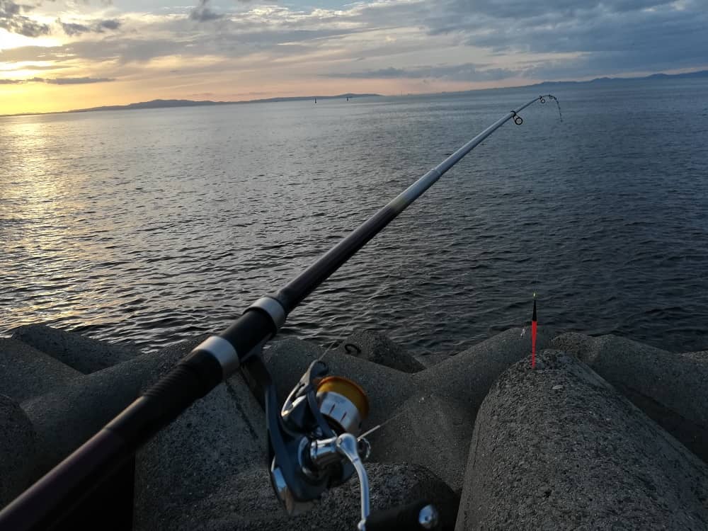 夕マズメ時に接岸する太刀魚