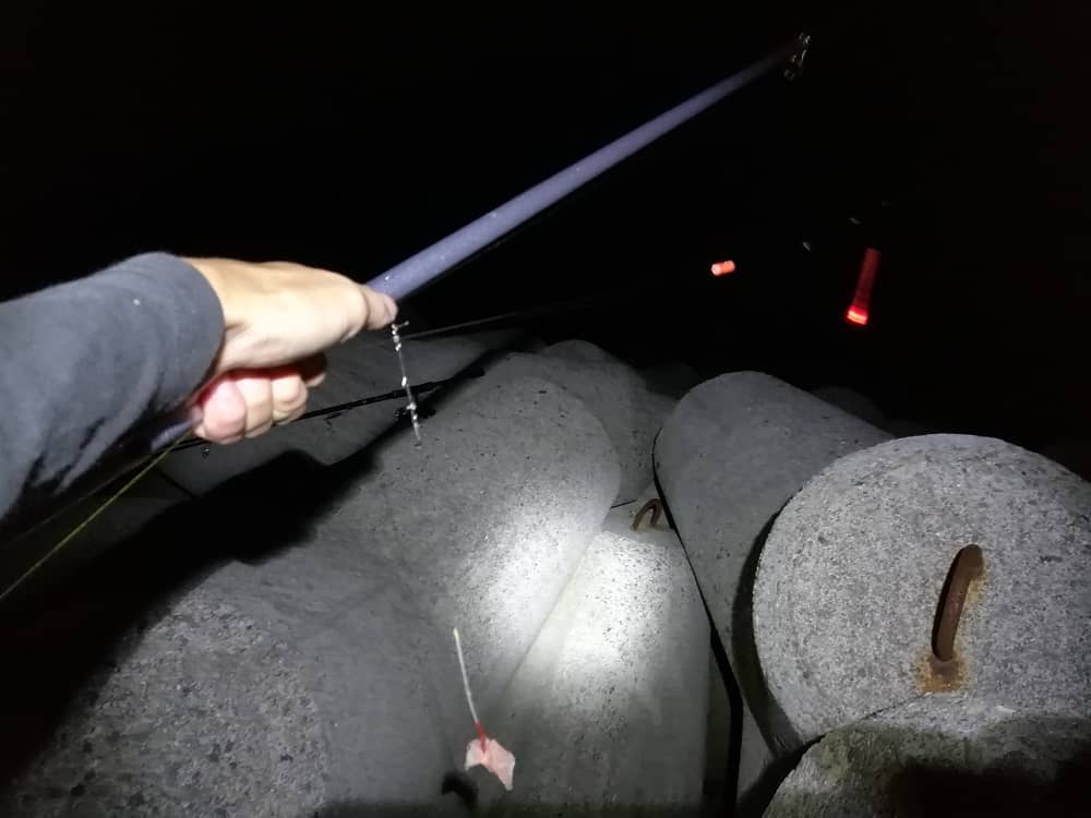 太刀魚の電気ウキ釣り