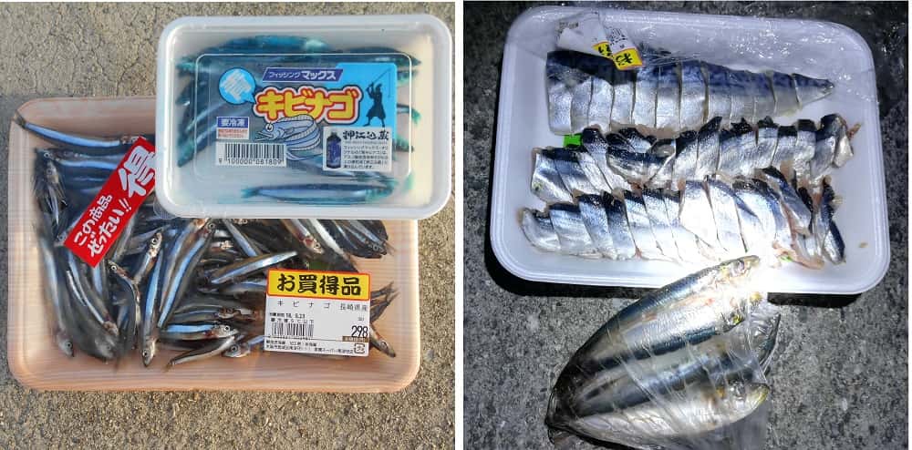 タチウオ釣りで使われるエサ