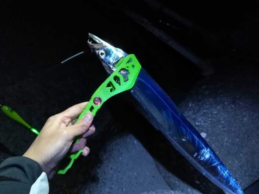 太刀魚釣りの釣り道具と便利グッズ