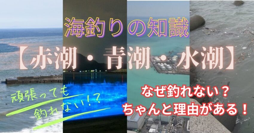 環境によって発生する潮【赤潮・青潮・水潮】