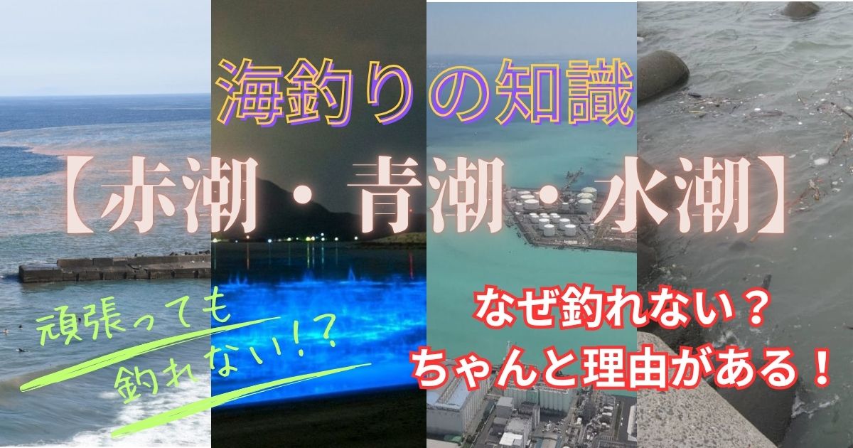 環境によって発生する潮【赤潮・青潮・水潮】