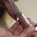 イワシの処理方法(1)　簡単で速いウロコ取りとお刺身用の捌き方