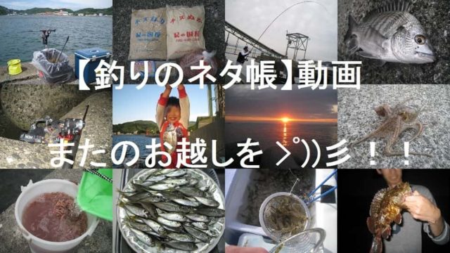 【釣りのネタ帳】動画